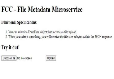 file metadata microservice